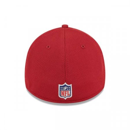 Arizona Cardinals - 2023 Training Camp 39Thirty Flex NFL Hat