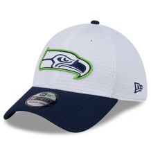 Seattle Seahawks - 2024 Training Camp 39Thirty NFL Hat