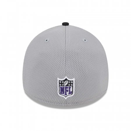 Baltimore Ravens - Colorway 2023 Sideline 39Thirty NFL Hat