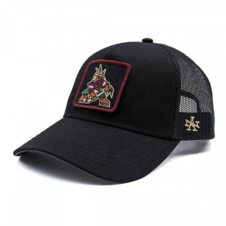 Arizona Coyotes - Valin Trucker NHL Cap