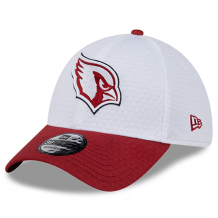 Arizona Cardinals - 2024 Training Camp 39Thirty NFL Hat