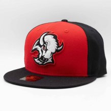 Buffalo Sabres - Team Logo Snapback NHL Hat