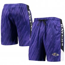 Baltimore Ravens - Static Mesh NFL Shorts