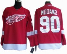 Detroit Red Wings - Mike Modano NHL Jersey