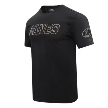 Carolina Hurricanes - Pro Standard Wordmark NHL T-Shirt
