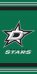 Dallas Stars - Team Logo NHL Beach Towel