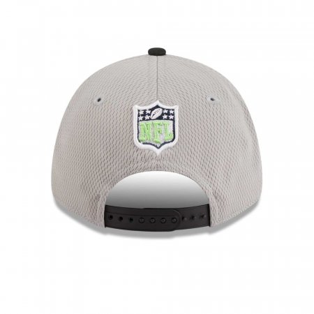 Seattle Seahawks - Colorway Sideline 9Forty NFL Hat gray
