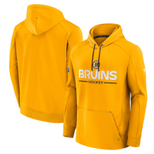 Boston Bruins - 2026 Authentic Pro Rink Gold NHL Bluza s kapturem