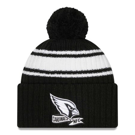 Arizona Cardinals - 2022 Sideline Black NFL Zimná čiapka