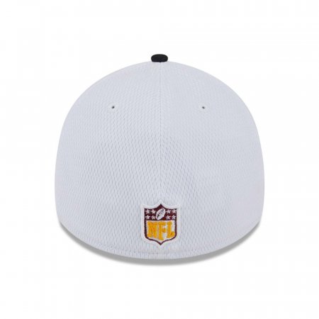 Washington Commanders - On Field 2023 Sideline 39Thirty NFL Hat