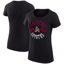 Arizona Coyotes Womens - City Graphic NHL T-Shirt