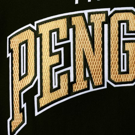 Pittsburgh Penguins - Champion Capsule NHL Mikina s kapucňou