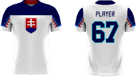 Slowakei - 2018 Sublimated Fan T-Shirt mit Namen und Nummer