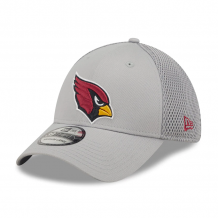 Arizona Cardinals - Team Neo Gray 39Thirty NFL Cap