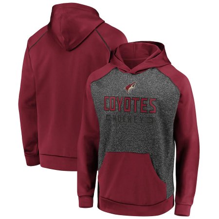 Arizona Coyotes - Game Day Chiller NHL Hoodie