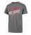 Detroit Red Wings - Echo SG NHL T-shirt
